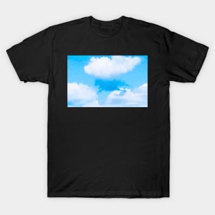 Pegasus Over Watch Hill T-Shirt